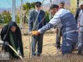 گزارش تصویری |  آیین غرس نهال و تجلیل از پرسنل زحمتکش فضای سبز و باغبانی دانشگاه صنعتی شاهرود 